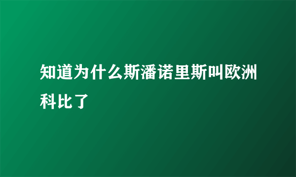 知道为什么斯潘诺里斯叫欧洲科比了