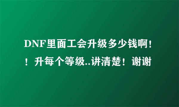 DNF里面工会升级多少钱啊！！升每个等级..讲清楚！谢谢