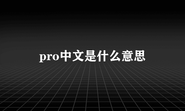 pro中文是什么意思