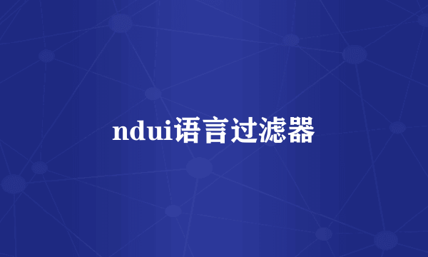 ndui语言过滤器