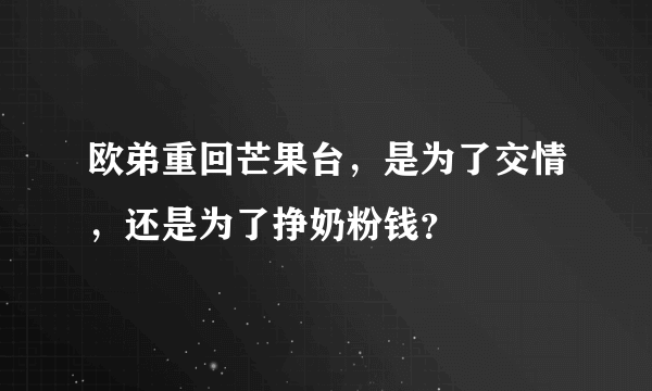 欧弟重回芒果台，是为了交情，还是为了挣奶粉钱？