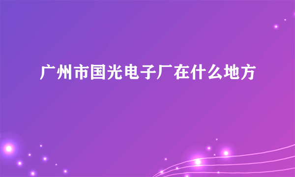 广州市国光电子厂在什么地方