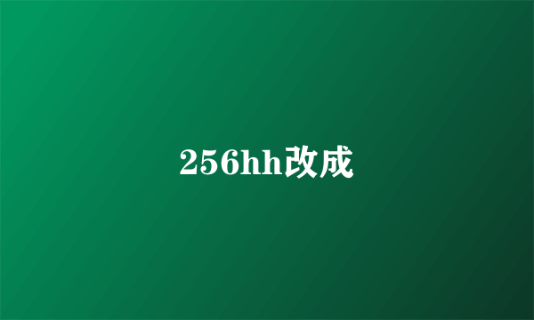 256hh改成