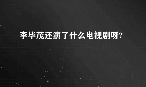 李毕茂还演了什么电视剧呀?