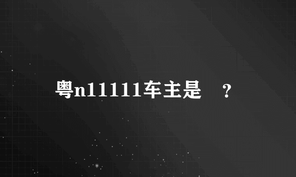 粤n11111车主是誰？