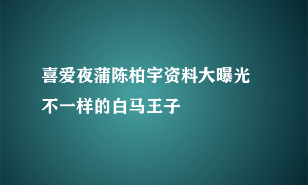 喜爱夜蒲陈柏宇资料大曝光 不一样的白马王子