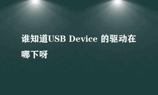 谁知道USB Device 的驱动在哪下呀