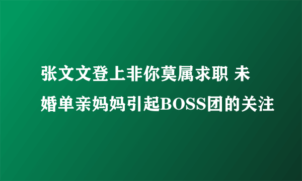 张文文登上非你莫属求职 未婚单亲妈妈引起BOSS团的关注