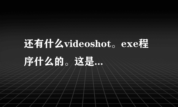 还有什么videoshot。exe程序什么的。这是什么东西？