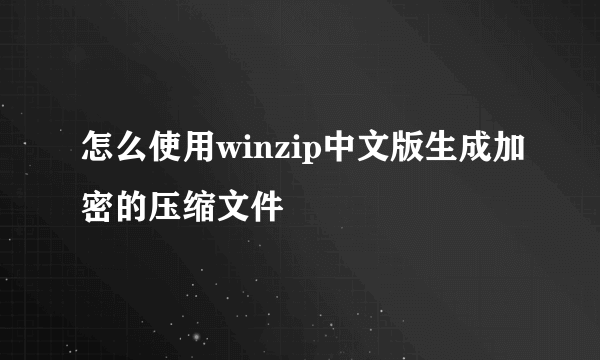 怎么使用winzip中文版生成加密的压缩文件