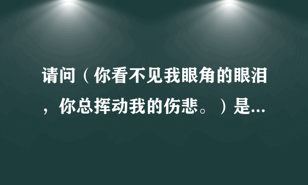 请问（你看不见我眼角的眼泪，你总挥动我的伤悲。）是那首歌名？