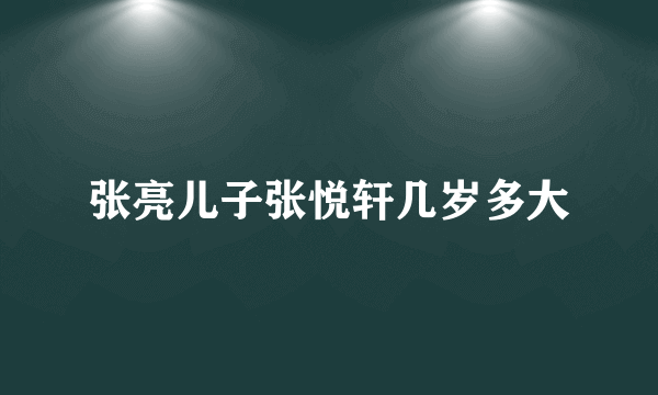 张亮儿子张悦轩几岁多大