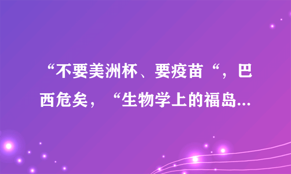 “不要美洲杯、要疫苗“，巴西危矣，“生物学上的福岛核事故”正在巴西上演