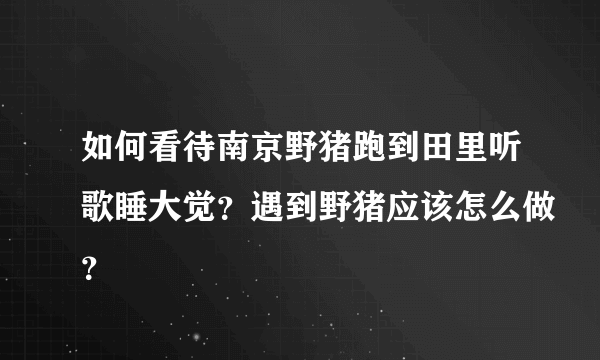 如何看待南京野猪跑到田里听歌睡大觉？遇到野猪应该怎么做？