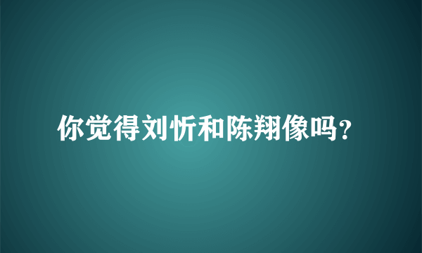 你觉得刘忻和陈翔像吗？