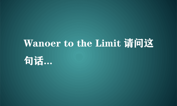 Wanoer to the Limit 请问这句话是什么意思？ 后面的是 到极限 的意思可第一个英文（Wanoer）是什么意思？