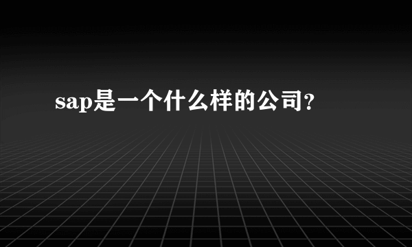 sap是一个什么样的公司？