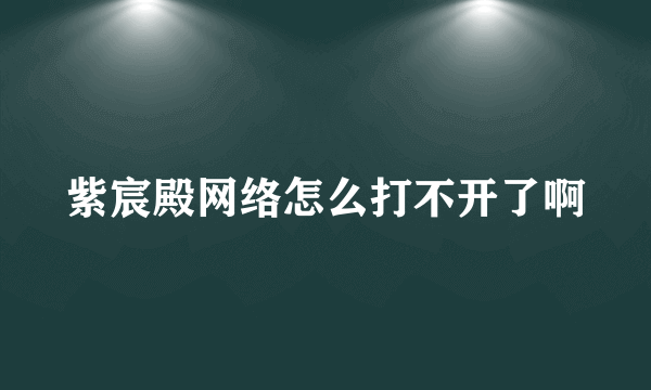 紫宸殿网络怎么打不开了啊