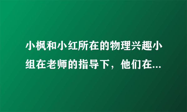 小枫和小红所在的物理兴趣小组在老师的指导下，他们在四种不同的水果中分别插人两片不同金属制成的极板，