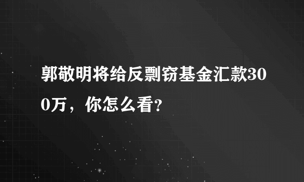 郭敬明将给反剽窃基金汇款300万，你怎么看？