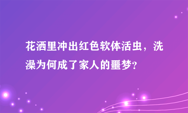 花洒里冲出红色软体活虫，洗澡为何成了家人的噩梦？