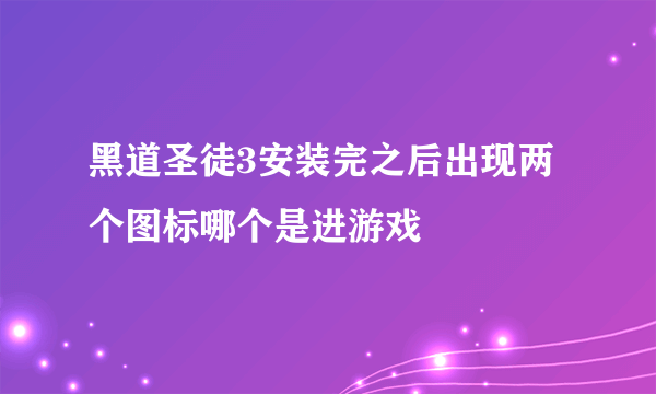 黑道圣徒3安装完之后出现两个图标哪个是进游戏