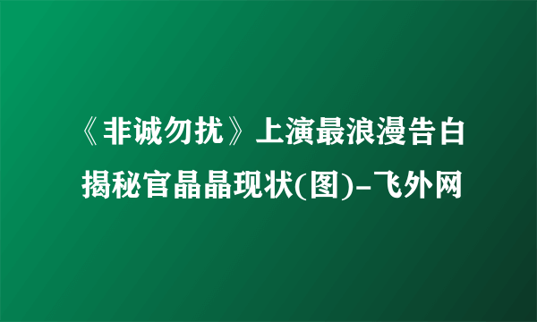 《非诚勿扰》上演最浪漫告白 揭秘官晶晶现状(图)-飞外网