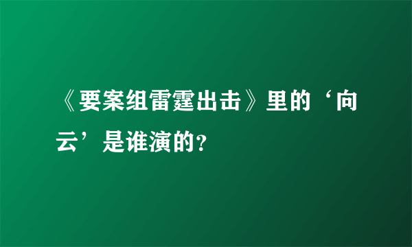 《要案组雷霆出击》里的‘向云’是谁演的？