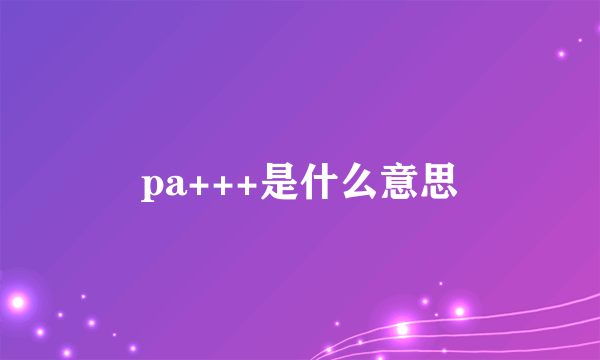 pa+++是什么意思