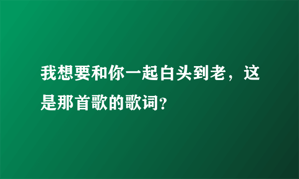 我想要和你一起白头到老，这是那首歌的歌词？