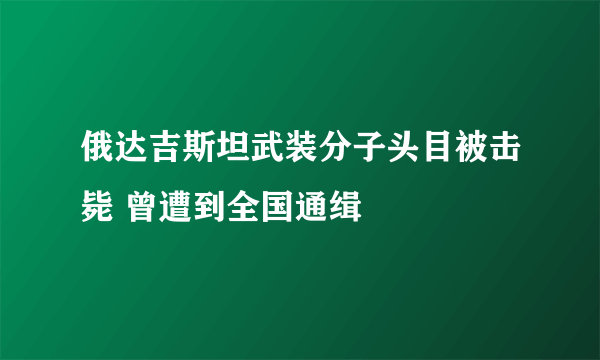 俄达吉斯坦武装分子头目被击毙 曾遭到全国通缉