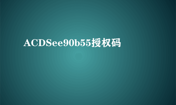 ACDSee90b55授权码