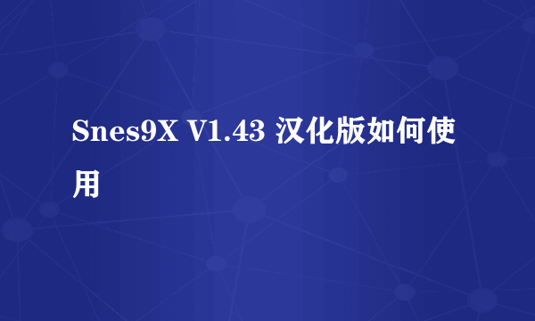 Snes9X V1.43 汉化版如何使用