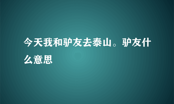 今天我和驴友去泰山。驴友什么意思