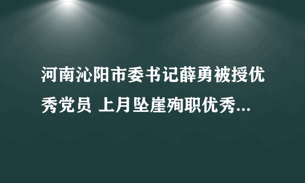 河南沁阳市委书记薛勇被授优秀党员 上月坠崖殉职优秀共产党员薛勇沁阳 