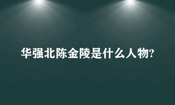 华强北陈金陵是什么人物?