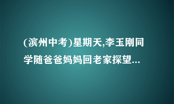 (滨州中考)星期天,李玉刚同学随爸爸妈妈回老家探望爷爷奶奶.爸爸8:30骑自行车先走,平均每小时骑行20 km;李玉刚同学和妈妈9:30乘公交车后行,公交车平均速度是40 km/h,爸爸的骑行路线与李玉刚同学和妈妈的乘车路线相同,路程均为40 km,设爸爸骑行时间为x(h).(1)请分别写出爸爸的骑行路程y1(km),李玉刚同学和妈妈的乘车路程y2(km)与x(h)之间的函数解析式,并注明自变量的取值范围;(2)请在同一个平面直角坐标系中画出(1)中两个函数的图象;(3)请回答谁先到达老家.