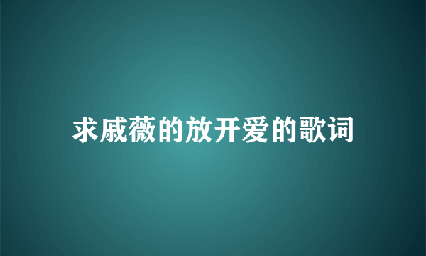 求戚薇的放开爱的歌词