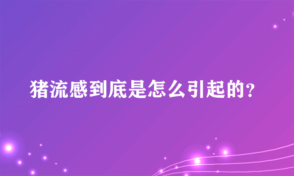 猪流感到底是怎么引起的？