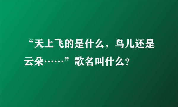 “天上飞的是什么，鸟儿还是云朵……”歌名叫什么？