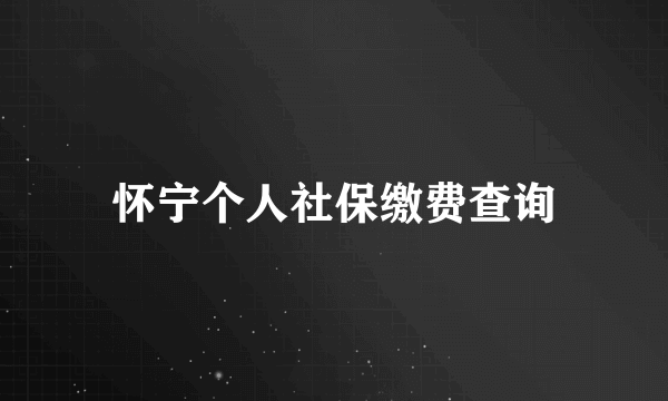 怀宁个人社保缴费查询