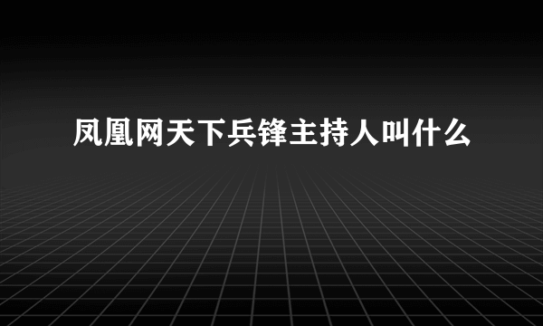 凤凰网天下兵锋主持人叫什么