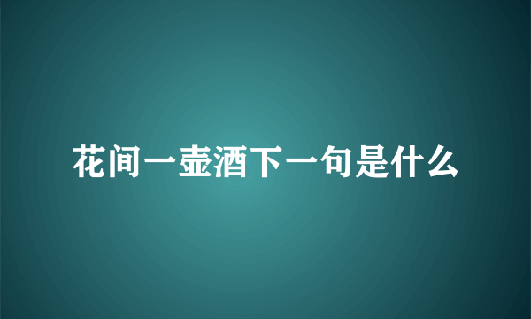 花间一壶酒下一句是什么