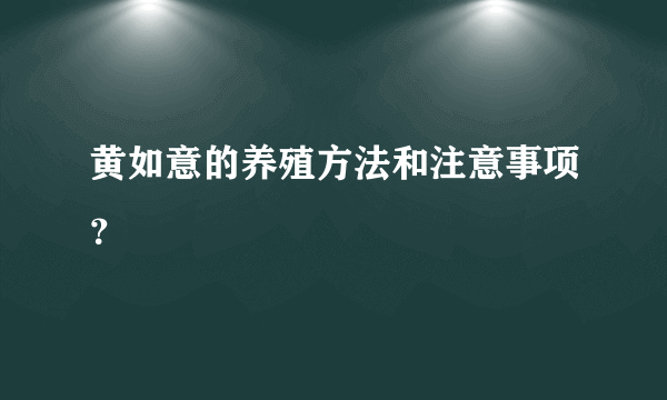 黄如意的养殖方法和注意事项？