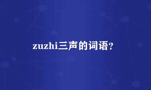 zuzhi三声的词语？