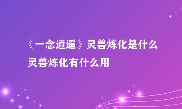 《一念逍遥》灵兽炼化是什么 灵兽炼化有什么用