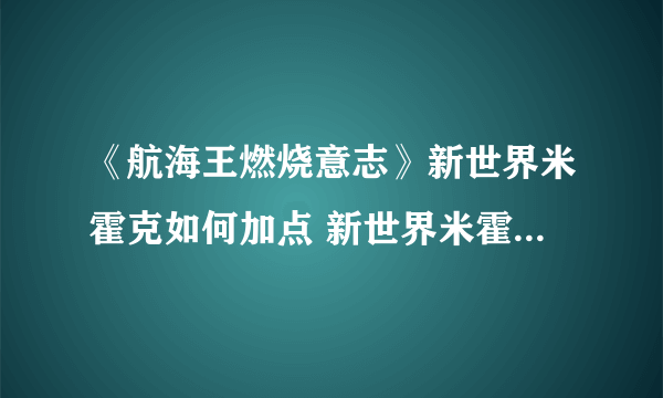 《航海王燃烧意志》新世界米霍克如何加点 新世界米霍克技能加点推荐