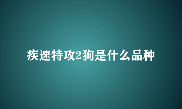 疾速特攻2狗是什么品种