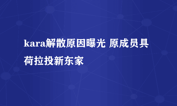 kara解散原因曝光 原成员具荷拉投新东家