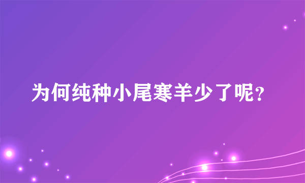 为何纯种小尾寒羊少了呢？